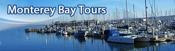 Monterey Bay