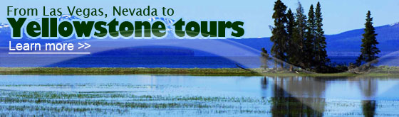 Las Vegas to Yellowstone