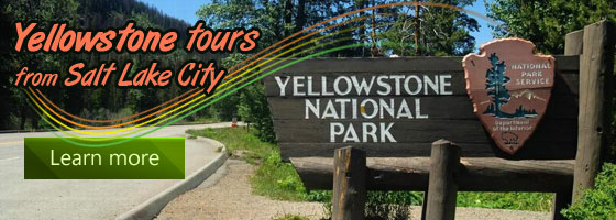 Yellowstone tours