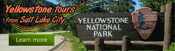 Your Yellowstone Deals from $358+