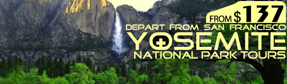 SF to Yosemite 1-9 Days Tours