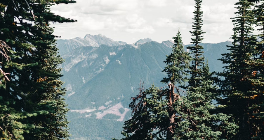 Canadian Rockie Tours in Canada