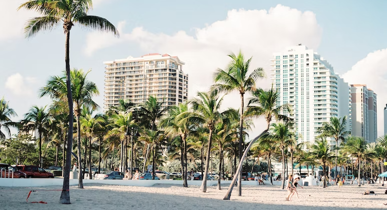 Miami Tours Year-round