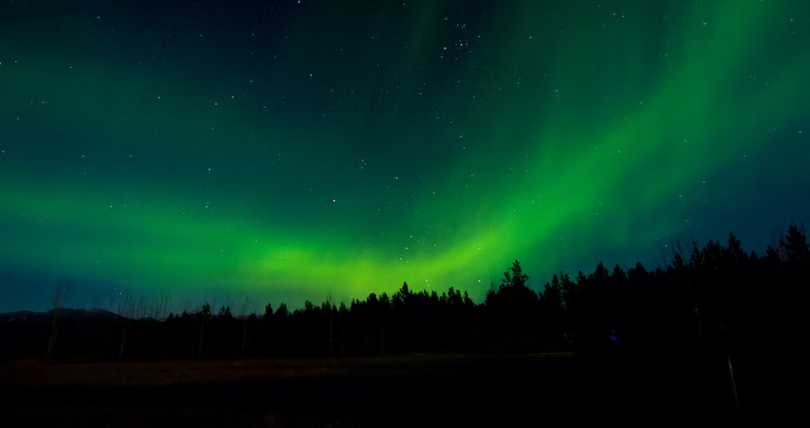 Whitehorse Aurora Hunting Tours in Canada