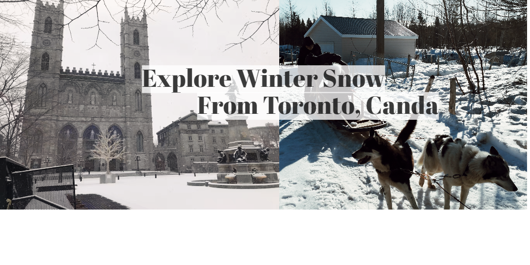 Winter Special Tours from Toronto