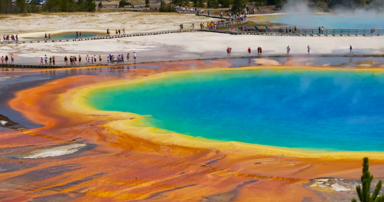 Yellowstone National Park in Summer!