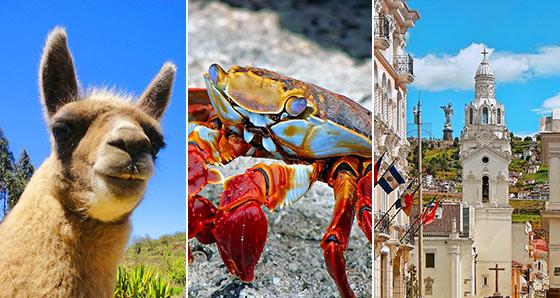 Ecuador Vacation Packages