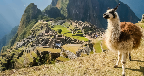 Ecuador Local Tours