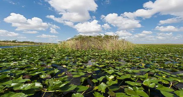 4+ Day Everglades National Park Vacation Packages from Miami