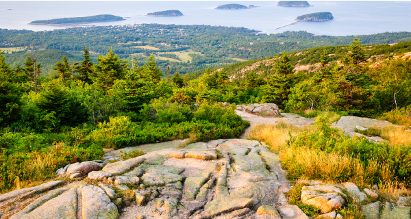 Boston to Martha's Vineyard Tours