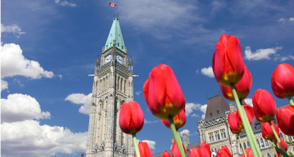 Ottawa Local Tours