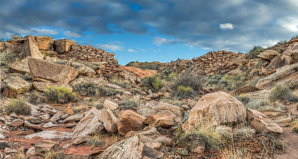 Petrified Forest Tours from Los Angeles
