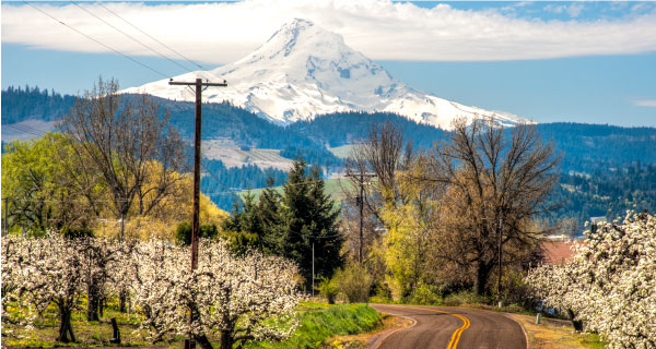 Portland Vacation Packages