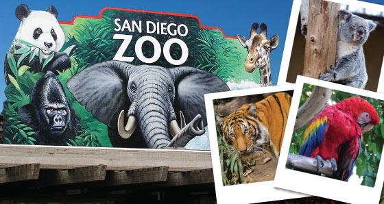 Day Trips to San Diego