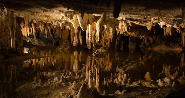 2-4 Day Shenandoah Local Tours