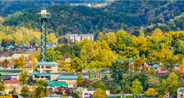 Great Smoky Mountains Local Tours