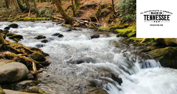 Great Smoky Mountains Vacation Packages