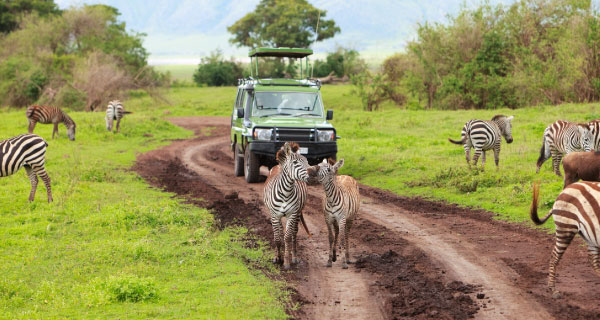 Tanzania Vacation Packages