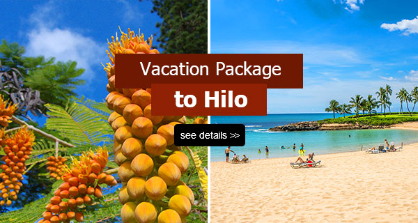 hilo hawaii tours vacation packages big island bus tours volcano