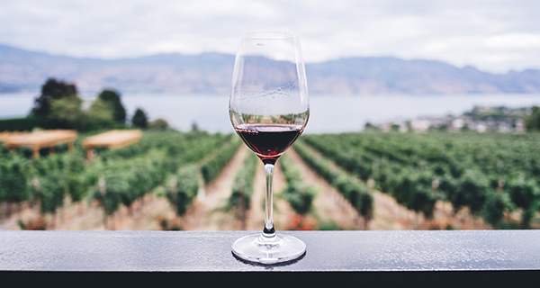 Wine Tours