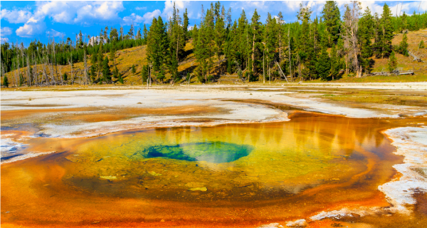 Los Angeles to Yellowstone Tours