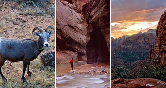 Zion National Park Vacation Packages