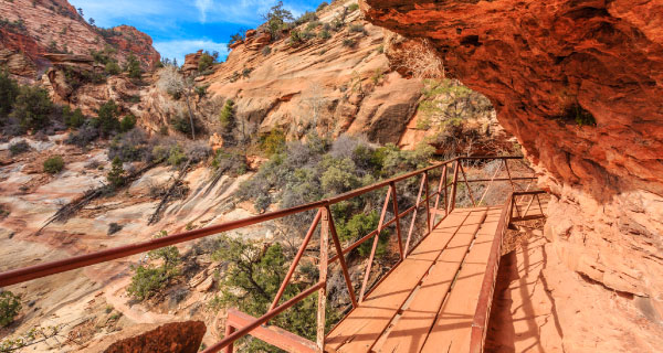 Zion National Park Local Tours